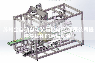 苏州全自动自动装箱机电话(哪家公司提供z优质的售后服务)