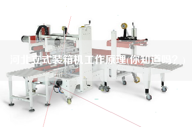 河北立式装箱机工作原理(你知道吗?) 河北立式装箱机工作原理(你知道吗?)