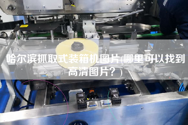 哈尔滨抓取式装箱机图片(哪里可以找到高清图片?) 哈尔滨抓取式装箱机图片(哪里可以找到高清图片?)