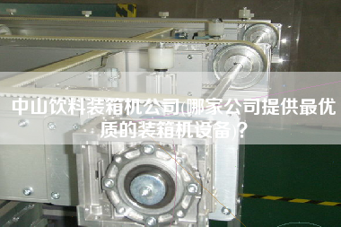 中山饮料装箱机公司(哪家公司提供z优质的装箱机设备)? 中山饮料装箱机公司(哪家公司提供z优质的装箱机设备)?