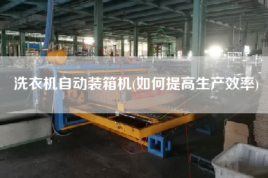 洗衣机自动装箱机(如何提高生产效率) 洗衣机自动装箱机(如何提高生产效率)