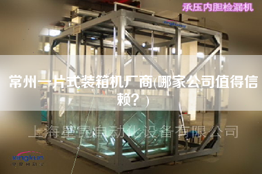 常州一片式装箱机厂商(哪家公司值得信赖?) 常州一片式装箱机厂商(哪家公司值得信赖?)