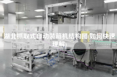 湖北抓取式自动装箱机结构图(如何快速理解) 湖北抓取式自动装箱机结构图(如何快速理解)