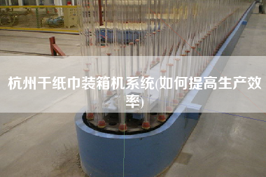 杭州干纸巾装箱机系统(如何提高生产效率) 杭州干纸巾装箱机系统(如何提高生产效率)