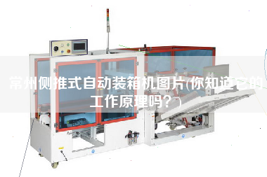 常州侧推式自动装箱机图片(你知道它的工作原理吗？)
