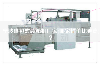 宁波裹包式装箱机厂家(哪家性价比z高)? 宁波裹包式装箱机厂家(哪家性价比z高)?