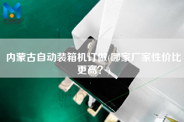 内蒙古自动装箱机订做(哪家厂家性价比z高?) 内蒙古自动装箱机订做(哪家厂家性价比z高?)