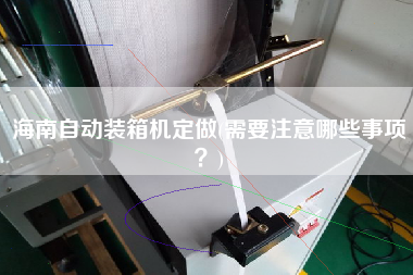 海南自动装箱机定做(需要注意哪些事项?) 海南自动装箱机定做(需要注意哪些事项?)