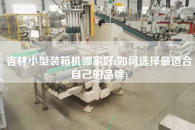 吉林小型装箱机哪家好(如何选择z适合自己的品牌) 吉林小型装箱机哪家好(如何选择z适合自己的品牌)