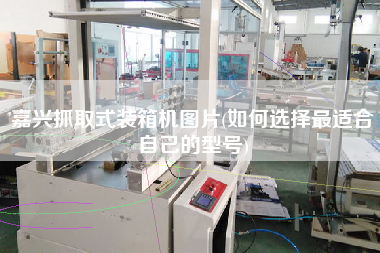 嘉兴抓取式装箱机图片(如何选择z适合自己的型号) 嘉兴抓取式装箱机图片(如何选择z适合自己的型号)