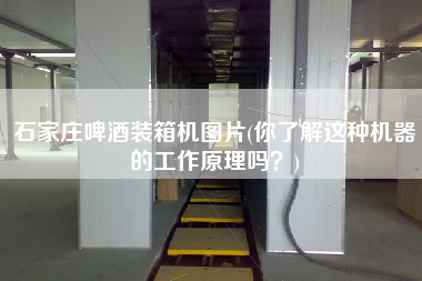 石家庄啤酒装箱机图片(你了解这种机器的工作原理吗?) 石家庄啤酒装箱机图片(你了解这种机器的工作原理吗?)