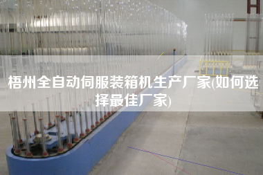 梧州全自动伺服装箱机生产厂家(如何选择z佳厂家) 梧州全自动伺服装箱机生产厂家(如何选择z佳厂家)
