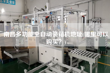 南昌多功能全自动装箱机地址(哪里可以购买?) 南昌多功能全自动装箱机地址(哪里可以购买?)