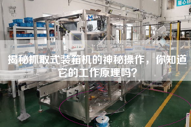 揭秘抓取式装箱机的神秘操作,你知道它的工作原理吗? 揭秘抓取式装箱机的神秘操作,你知道它的工作原理吗?