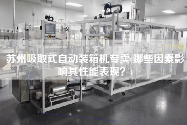 苏州吸取式自动装箱机专卖(哪些因素影响其性能表现?) 苏州吸取式自动装箱机专卖(哪些因素影响其性能表现?)