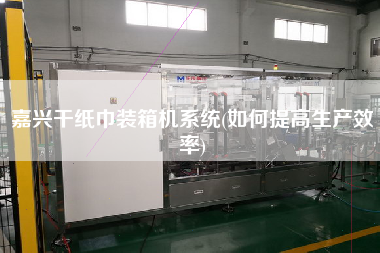 嘉兴干纸巾装箱机系统(如何提高生产效率) 嘉兴干纸巾装箱机系统(如何提高生产效率)