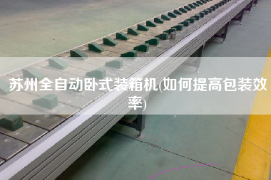 苏州全自动卧式装箱机(如何提高包装效率) 苏州全自动卧式装箱机(如何提高包装效率)