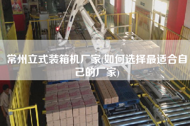 常州立式装箱机厂家(如何选择z适合自己的厂家) 常州立式装箱机厂家(如何选择z适合自己的厂家)