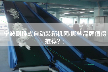 宁波侧推式自动装箱机网(哪些品牌值得推荐?) 宁波侧推式自动装箱机网(哪些品牌值得推荐?)