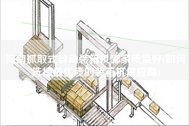 海南抓取式自动装箱机哪家质量好(如何选择z优质的装箱机供应商) 海南抓取式自动装箱机哪家质量好(如何选择z优质的装箱机供应商)
