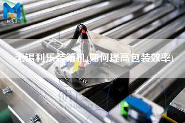 无锡利乐装箱机(如何提高包装效率)