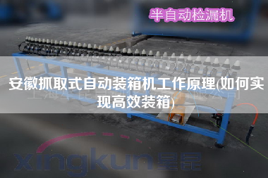 安徽抓取式自动装箱机工作原理(如何实现高效装箱) 安徽抓取式自动装箱机工作原理(如何实现高效装箱)