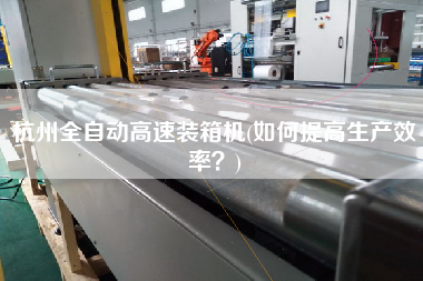 杭州全自动高速装箱机(如何提高生产效率？)